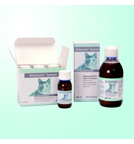 ReConvales Tonicum Katze