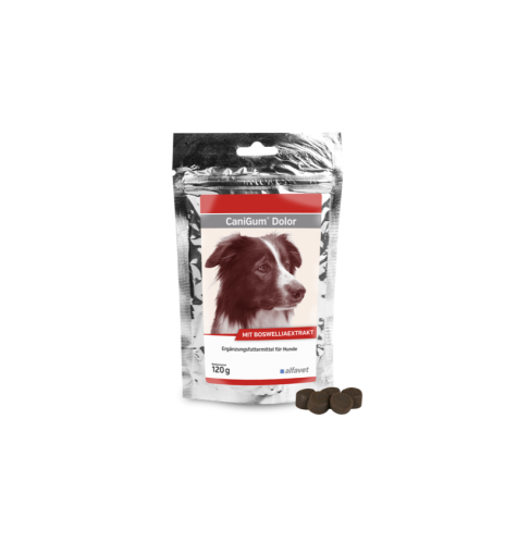 CaniGum Dolor