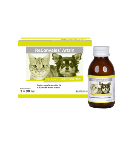 ReConvales Artrin