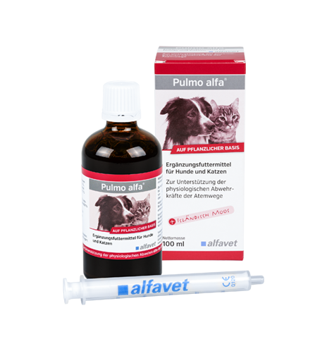 Pulmo alfa