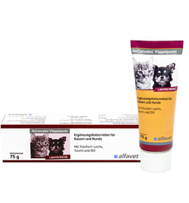 ReConvales Päppelpaste