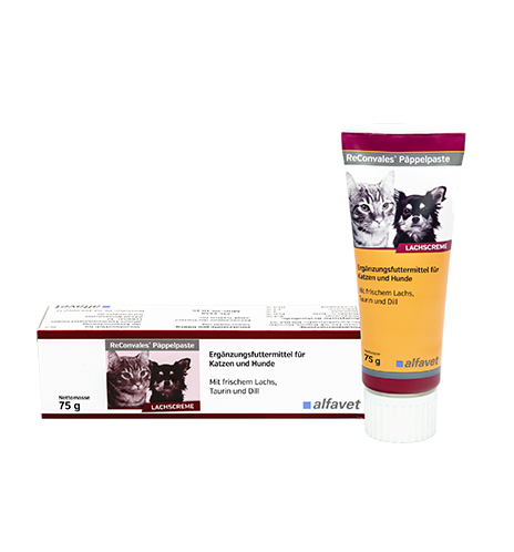 ReConvales Päppelpaste