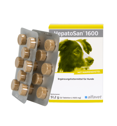 HepatoSan 1600