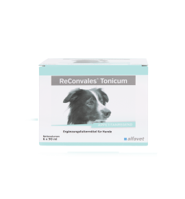 ReConvales Tonicum Hund