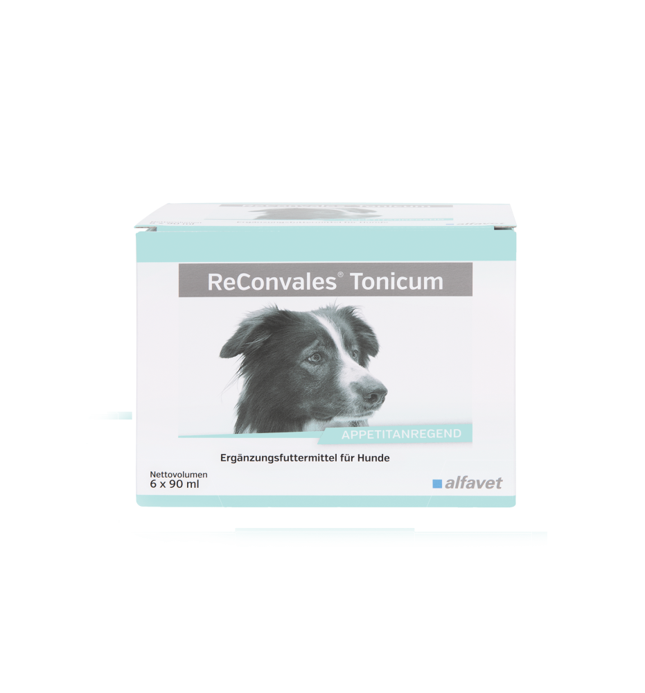 ReConvales Tonicum Hund