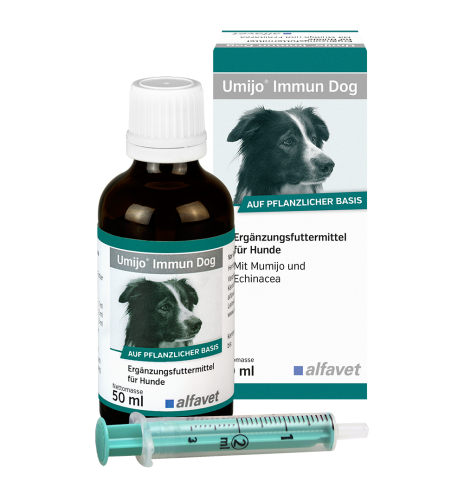 Umijo Immun Dog